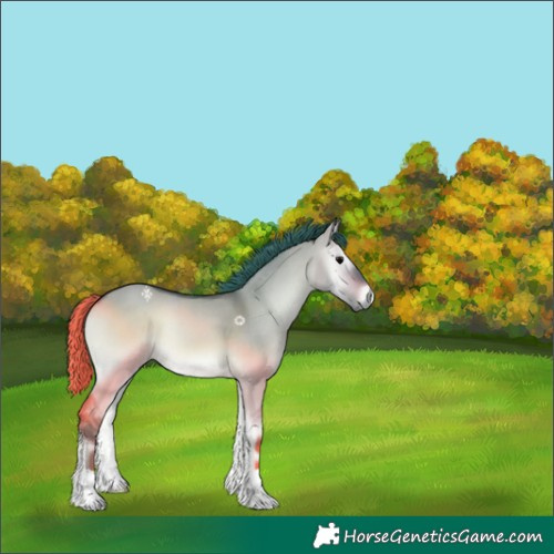 Horse Color:Watercolor Brown Onyx 
