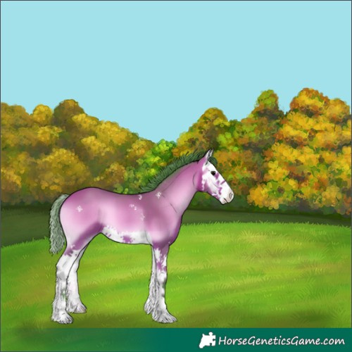 Horse Color:Watercolor Bay Onyx Splash 