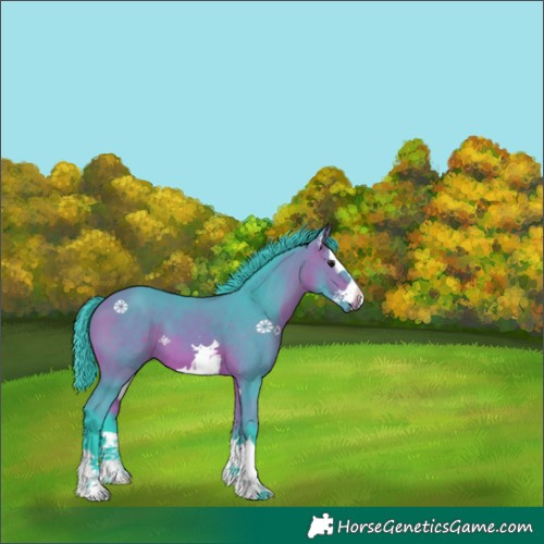 Horse Color:Watercolor Bay 