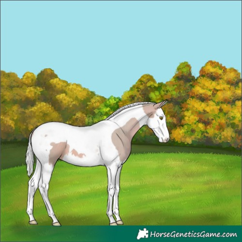 Horse Color:Watercolor Silver Bay Pearl Splash Tobiano 