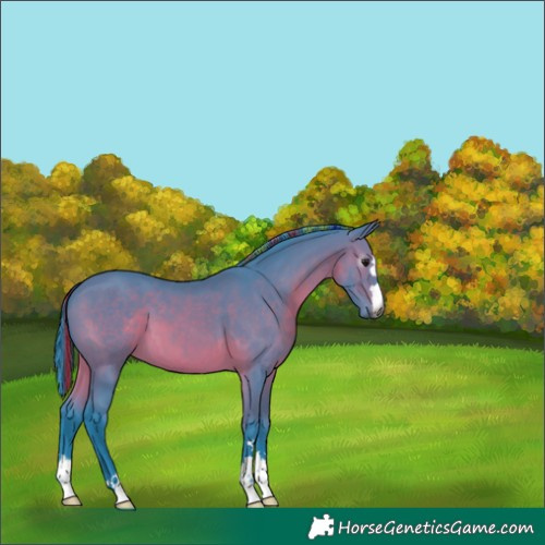 Horse Color:Gray Painted Watercolor Bay 