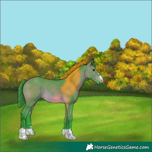 Horse Color:Watercolor Bay 