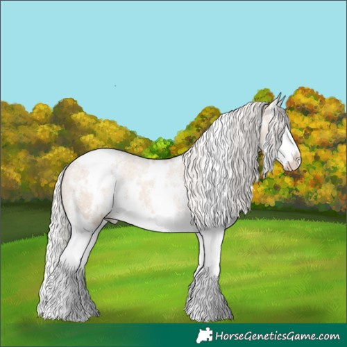 Horse Color:White Spotted Silver Bay Dun Sabino Splash Appaloosa Rabicano 