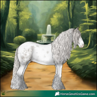 Horse Color:Silver Grullo Sabino Tobiano Appaloosa Rabicano 