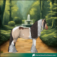 Horse Color:Bay Dun Tobiano