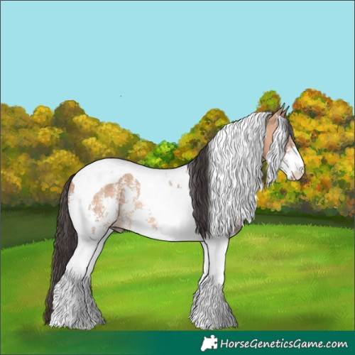 Horse Color:Bay Dun Sabino Tobiano Rabicano 