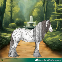 Horse Color:Grullo Near Leopard Rabicano 