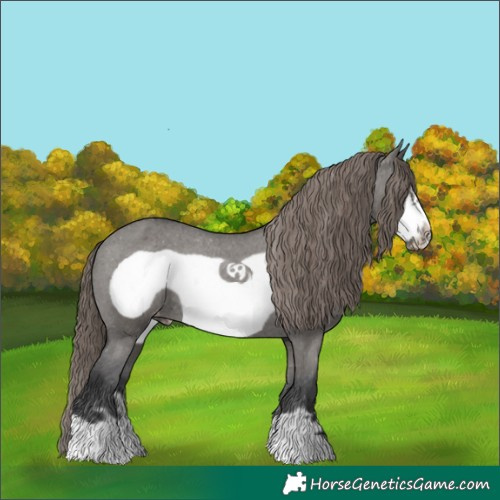 Horse Color:Grullo Frame Appaloosa Rabicano 