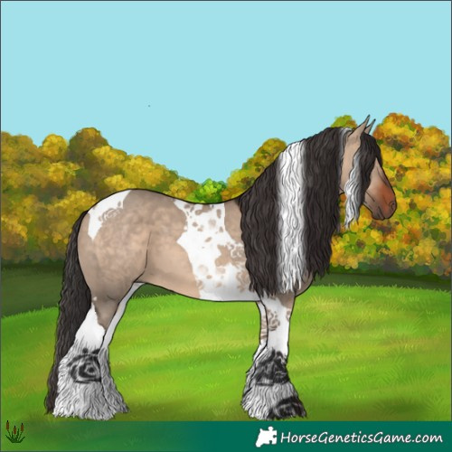 Horse Color:Bay Dun Tobiano 