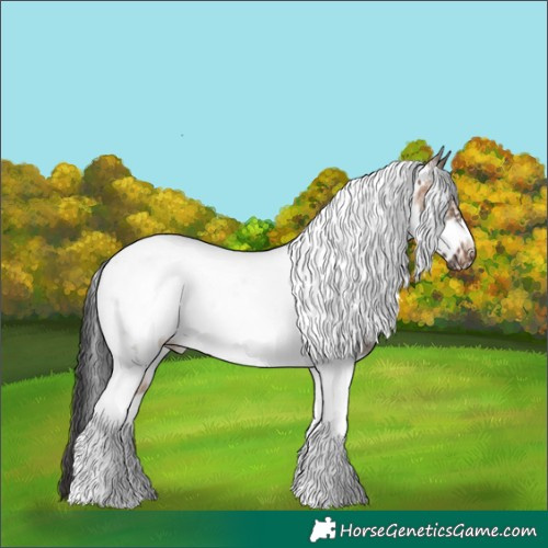 Horse Color:Brown Dun Sabino Tobiano Frame Rabicano 