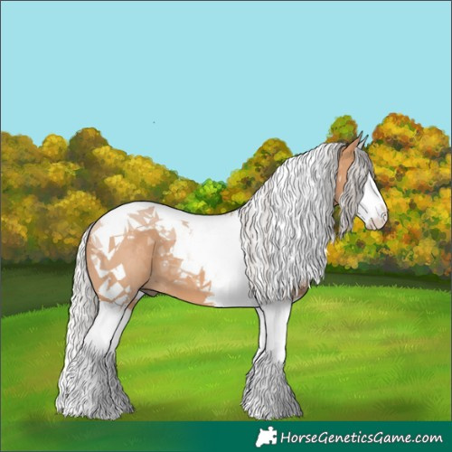Horse Color:Silver Bay Dun Splash Tobiano 