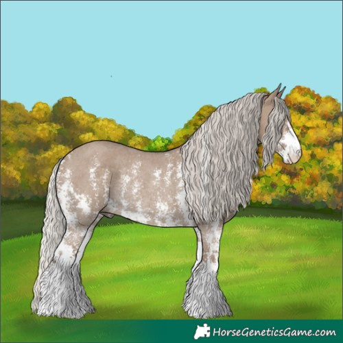 Horse Color:Silver Grullo Sabino Rabicano 