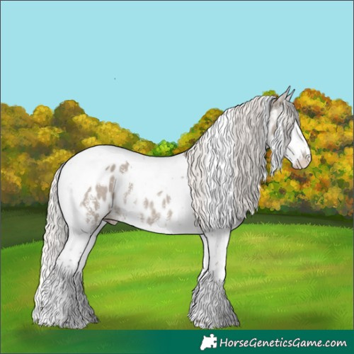 Horse Color:Silver Grullo Sabino Splash Tobiano Near Leopard Rabicano 