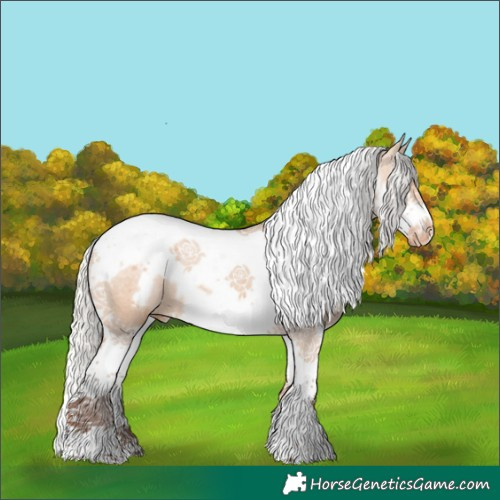 Horse Color:Silver Bay Dun Splash Tobiano Frame Appaloosa 