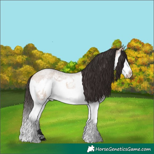 Horse Color:White Spotted Bay Roan Dun Splash Rabicano 