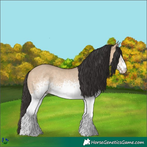 Horse Color:White Spotted Bay Dun Rabicano
