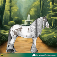 Horse Color:White Spotted Grullo Splash Tobiano 