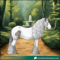 Horse Color:White Spotted Grullo Splash Tobiano Rabicano