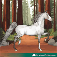 Horse Color:Silver Grullo Roan Frame 
