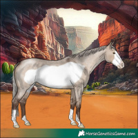 Horse Color:Silver Brown Roan Dun Frame 