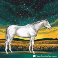 Horse Color:Silver Grullo Roan Tobiano Frame 