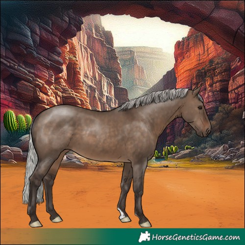 Horse Color:Silver Brown Dun 