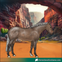 Horse Color:Silver Brown Dun