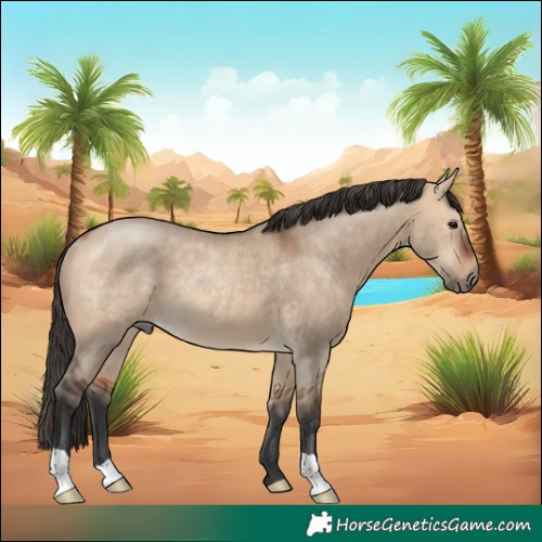 Horse Color:Bay Dun Rabicano 