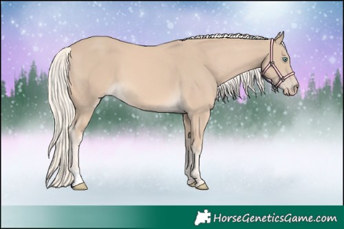 Horse Color:Cremello 