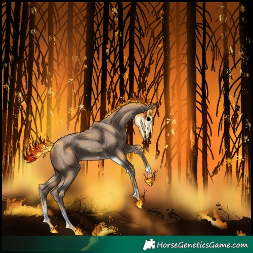 Horse Color:Classic Champagne 