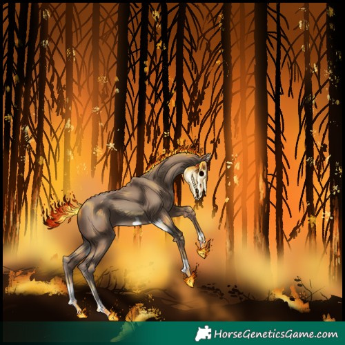 Horse Color:Classic Champagne 