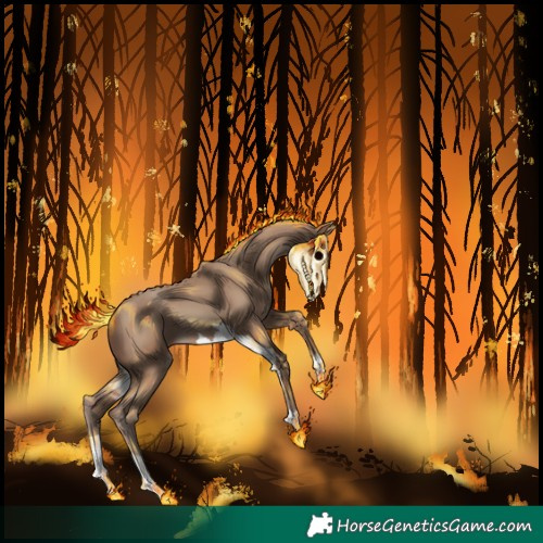 Horse Color:Classic Champagne 