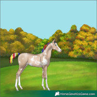 Horse Color:Painted White Spotted Chocolate Palomino Pearl Splash 