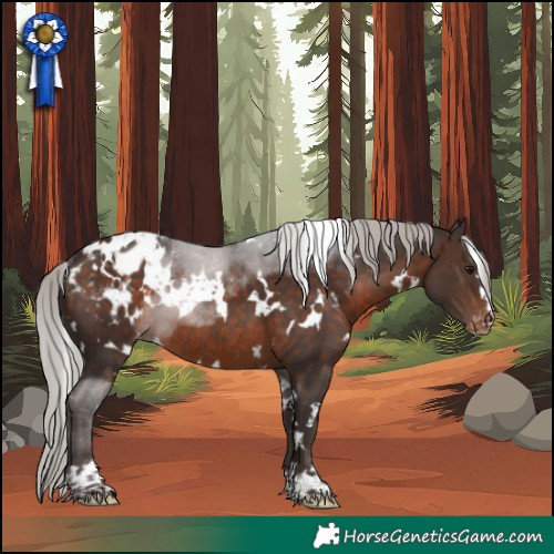 Horse Color:White Spotted Silver Brown Blanket Rabicano