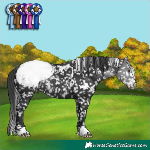 Horse Color:White Spotted Black Snowcap Rabicano 