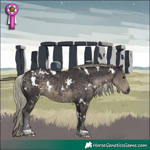 Horse Color:White Spotted Silver Smoky Black 