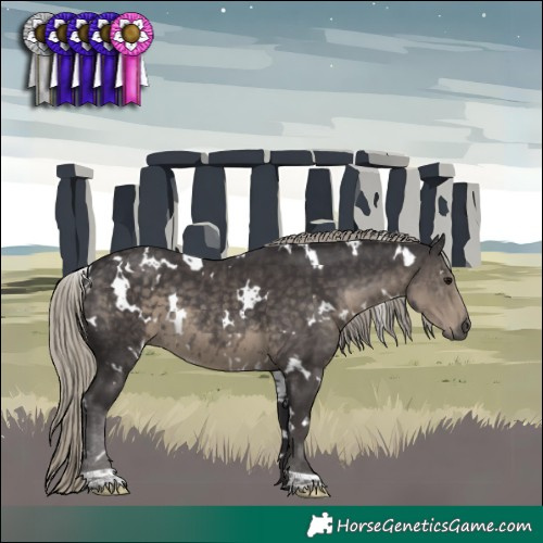 Horse Color:White Spotted Silver Smoky Black 