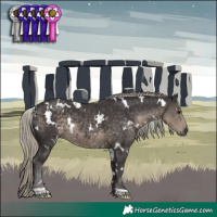 Horse Color:White Spotted Silver Smoky Black 