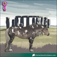 Horse Color:White Spotted Silver Smoky Black