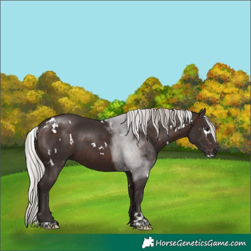 Horse Color:White Spotted Silver Brown 