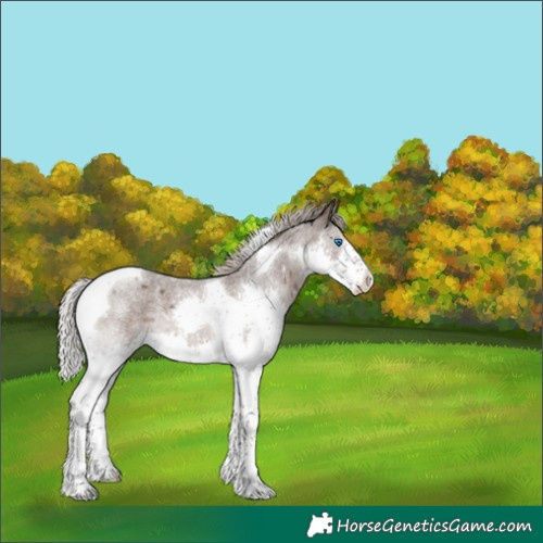 Horse Color:Silver Blue Roan Splash Tobiano Varnish 