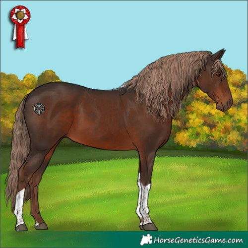 Horse Color:Liver Chestnut Tobiano 