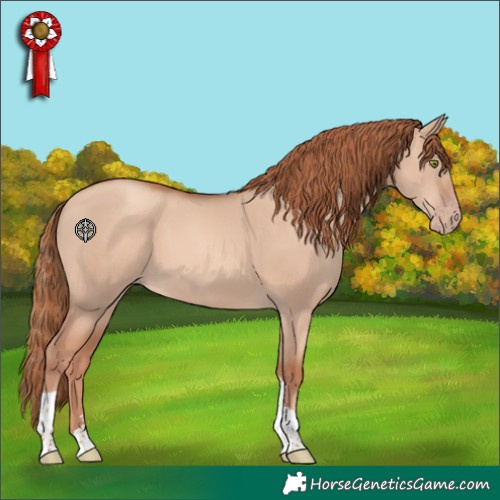 Horse Color:Gold Champagne Dun Tobiano 
