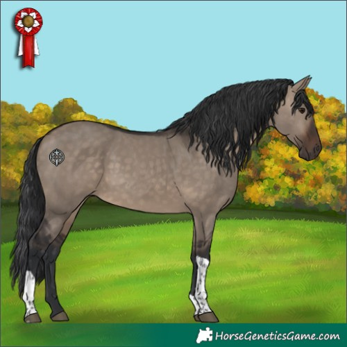 Horse Color:Brown Dun Tobiano 