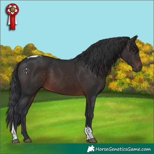 Horse Color:Brown Tobiano 