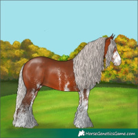 Horse Color:White Spotted Silver Bay 
