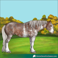 Horse Color:White Spotted Silver Smoky Black  and White Spotted Silver Brown 