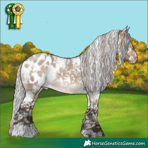 Horse Color:White Spotted Silver Brown Dun Appaloosa 