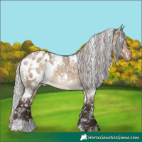 Horse Color:White Spotted Silver Brown Dun Appaloosa 