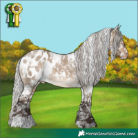 Horse Color:White Spotted Silver Brown Dun Blanket 